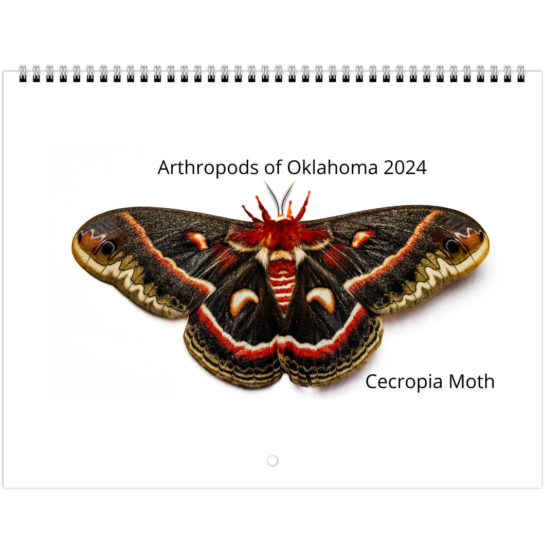 Arthropods of Oklahoma 2024