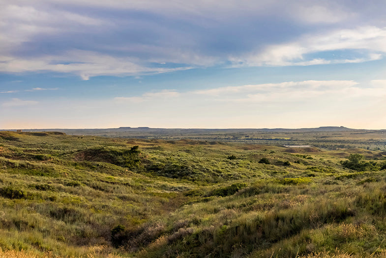 Oklahoma Plains