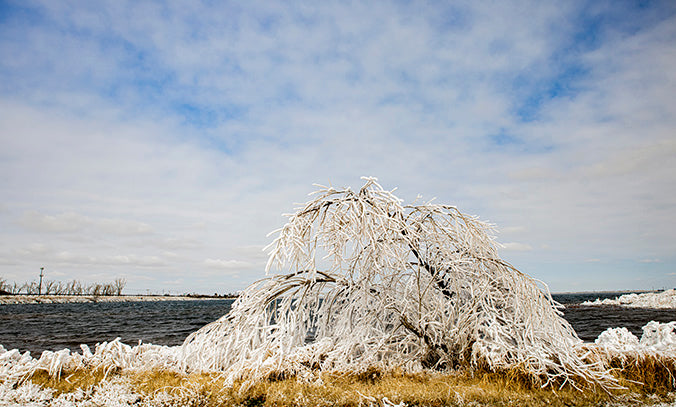 The Weight of Winter