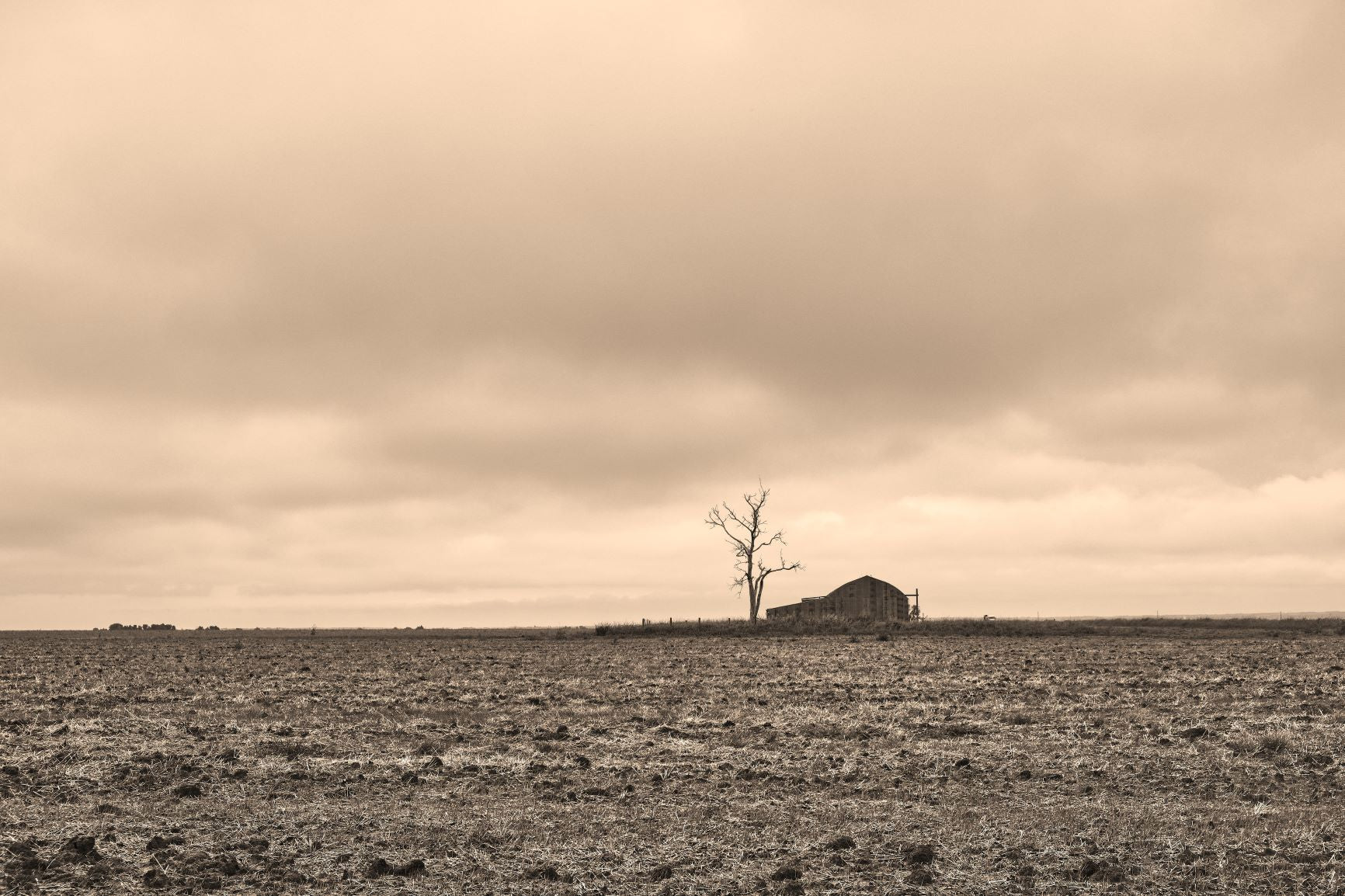 Lonely Barn