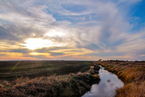 Creek at Sunset